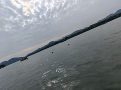 -西湖游船