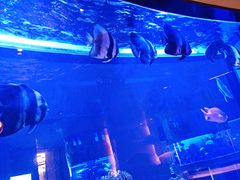 -上和臻品中国菜(花园街店)