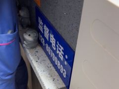 -半岛宠物医院24小时(白果林店)
