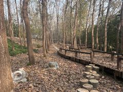 -洪泽湖古堰景区