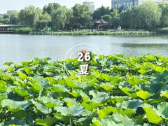 -西海子公园
