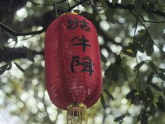 -石台牯牛降景区