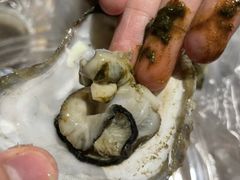 -大富蚝乌东哥饭店·石锅鱼杂·柠檬鸭(革新路店)
