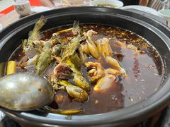 -金海椒罐罐鲢鱼(东方桂苑店)