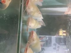 -蛙鱼道美蛙鱼自助火锅(新耍都店)