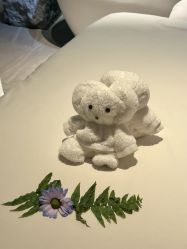 -VELEE·SPA高定疗愈会所