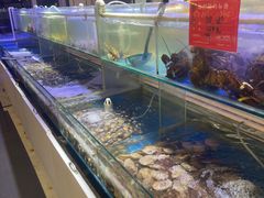 -四海蒸鲜蒸汽海鲜自助(北戴河店)