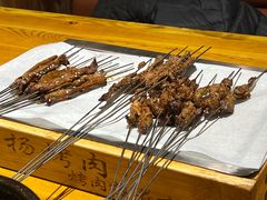 -小杨烤肉(朱雀店)