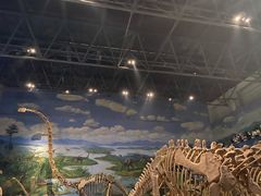 -自贡恐龙博物馆