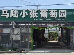 -马陆小张葡萄园农家乐