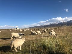 -青海湖国家重点风景名胜区