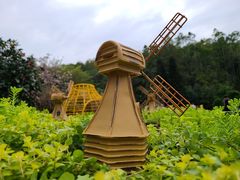 -深圳仙湖植物园