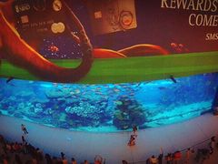 -迪拜水族馆及水下动物园