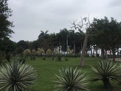 -万绿园