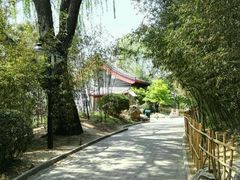 -紫竹院公园冰场