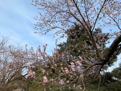 -长春市南湖公园