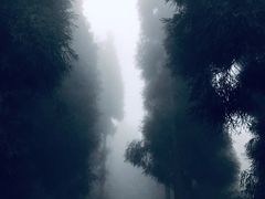 -九峰山