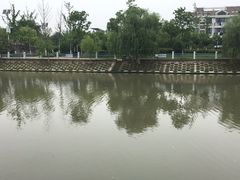 -上海宝华喜来登酒店·采悦轩中餐厅