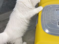 -瑞派康怡24h宠物医院·犬猫医疗中心·微创绝育(瑞景分院)