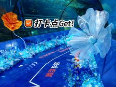 -重庆欢乐海底世界