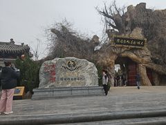 -大槐树寻根祭祖园