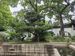 -上海醉白池公园