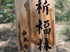 -白水寺森林公园