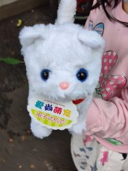 -海口盛青玩具商行