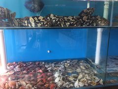 -港畔赶海蒸汽海鲜烧烤自助(仙螺岛店)