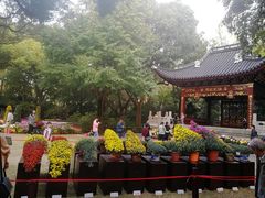 -汇龙潭