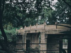 -晓港公园