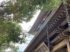 -香积寺