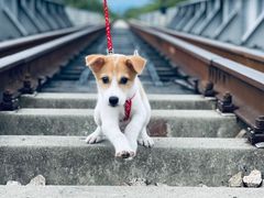 -乌龙涧铁道铁轨景