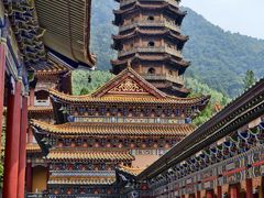 -天目山大树王景区