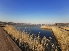 -天津东丽湖风景区