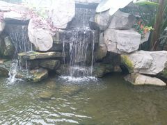 -汤山翠谷生态餐厅