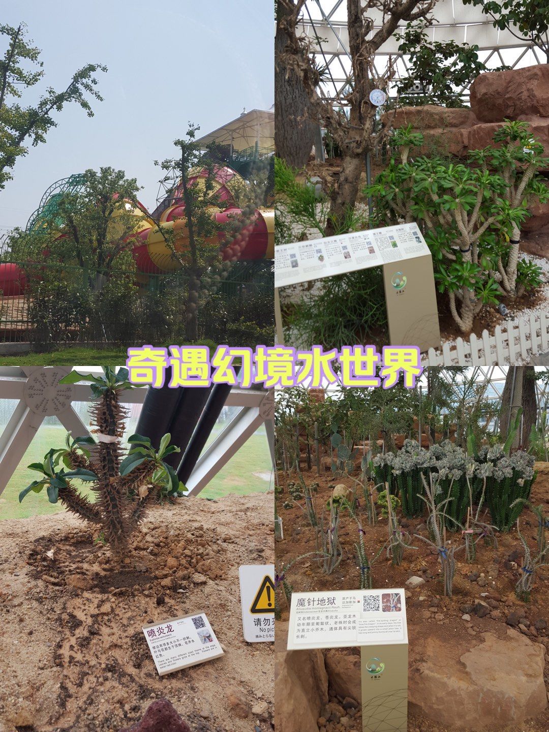 苏州大阳山植物园
