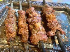 -新疆伏拉沃餐厅(白龙南路店)