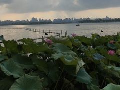 -西湖游船