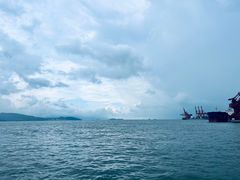 -招商蛇口邮轮母港(观光客运)