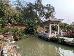 -中国沉香文化博物馆