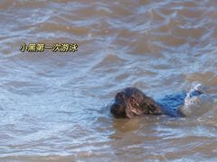-碧桂园十里银滩