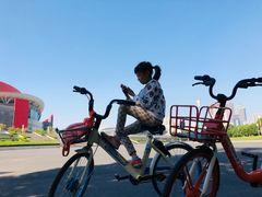 -南京奥林匹克体育中心-体育馆