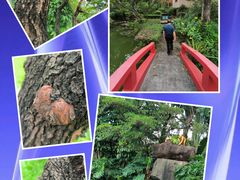 -广州莲花山旅游区