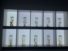 -李时珍纪念馆