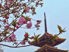 -东湖磨山景区