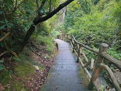 -楠溪江风景名胜区