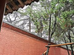 -洛阳白马寺