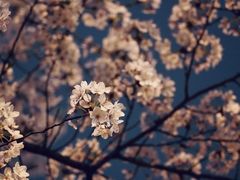 -永乐路-路侧停车场