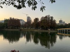 -四海公园(南山区)